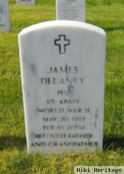 James Delaney