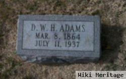 David W H Adams