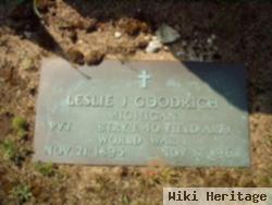 Leslie J Goodrich