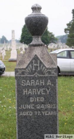 Sarah A Harvey