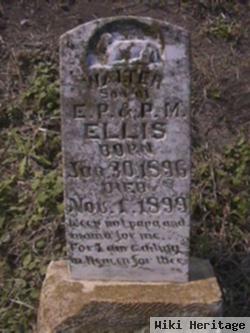 Walter Rice "buddy" Ellis