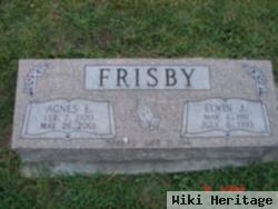 Elwin J Frisby