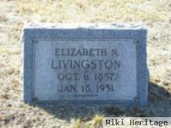 Elizabeth Nancy Punshon Livingston