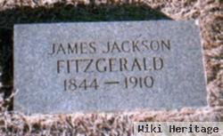 James Jackson Fitzgerald