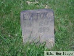 Elizabeth Ann Hughes Fox