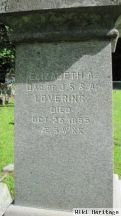 Elizabeth A. Lovering