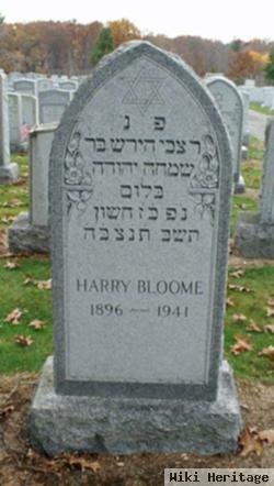 Harry Bloome