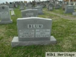 Jerome H Blum