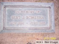 Albert J Romesha