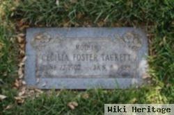 Cecilia Gertrude Foster Tackett