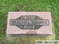 Harlan L Hammer