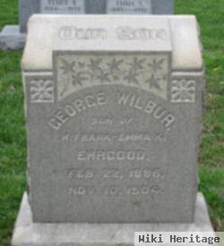 George Wilbur Ehrgood