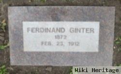 Ferdinand Ginter