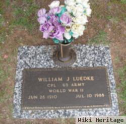 William J Luedke