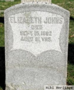 Elizabeth Johns