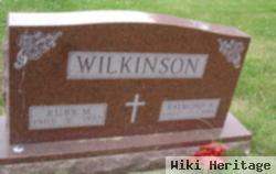 Raymond N Wilkinson