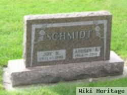 Joy Herman Schmidt