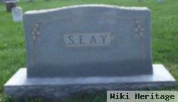 Sarah Jane Mayes Seay