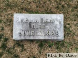 Amelia Dado Reavis