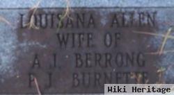 Louisana "lucy Ann" Allen Burnett