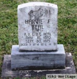 Harvie Franklin Beal