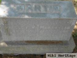 Mary Ellen Hawkins Martin