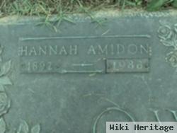 Hannah L Amidon Owens