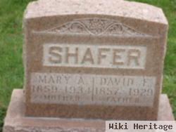 David F. Shafer