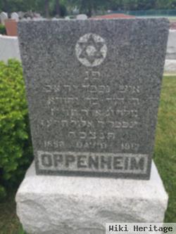 David J. Oppenheim