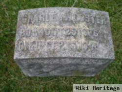 Charles W. Doster