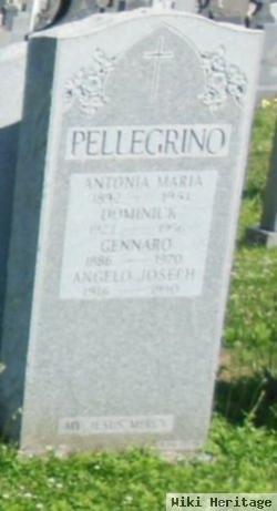Dominick Pellegrino