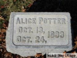 Alice Potter