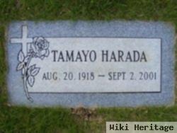 Tamayo Morishita Harada