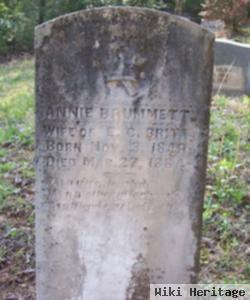 Nancy Ann "annie" Brummett Britt