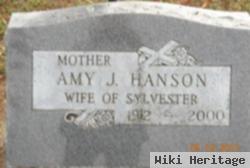 Amy J Henrikson Hanson