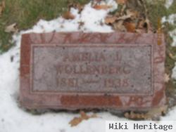 Amelia J Jahnke Wollenberg