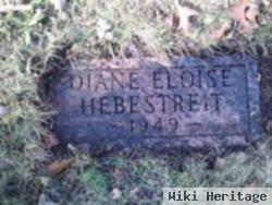 Diane Eloise Hebestreit