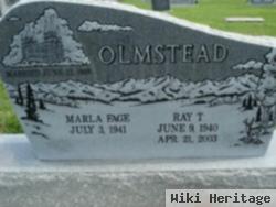 Ray T Olmstead