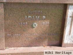 Adam P Schewe