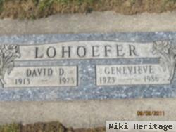 David D Lohoefer