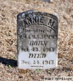 Annie M Sumner