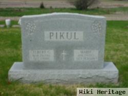 Albert G. Pikul