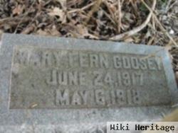 Mary Fern Gosdey