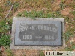 Roy E Brumley