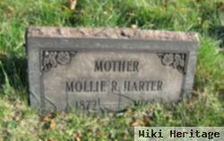 Molly R Harter