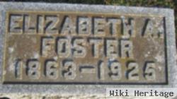 Elizabeth A. Foster