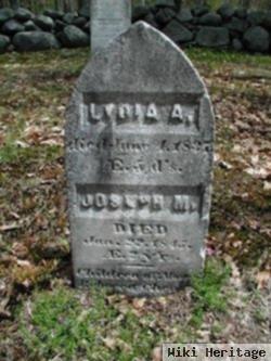 Lydia Ann Cheney