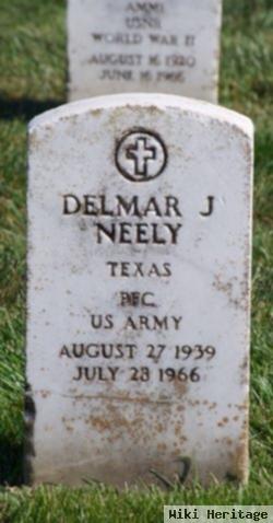 Delmar Joe Neely