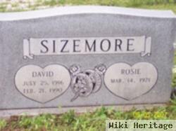 David Sizemore