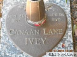 Canaan Lane Ivey